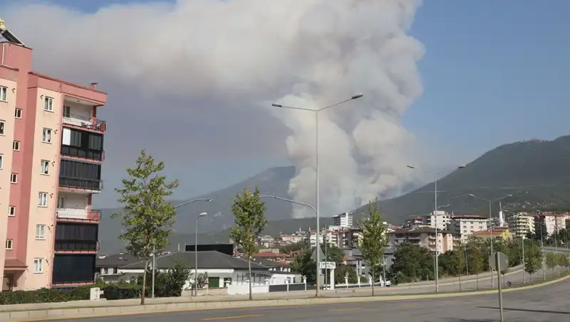 Denizli’de Orman Yangını: Bir Şüpheli Gözaltında, Yangının Ardındaki Gerçekler Ne?