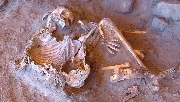 Yeni Mumya Keşfi: İnsanlığın Soy Ağacında Şok Edici Değişiklikler