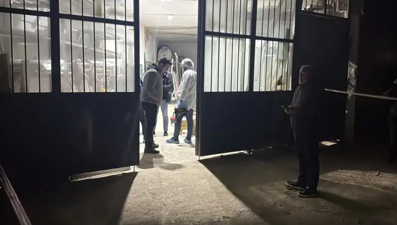 İş Yerinde Korkunç Cinayet: Cinayetin Ardındaki Karanlık Gerçekler