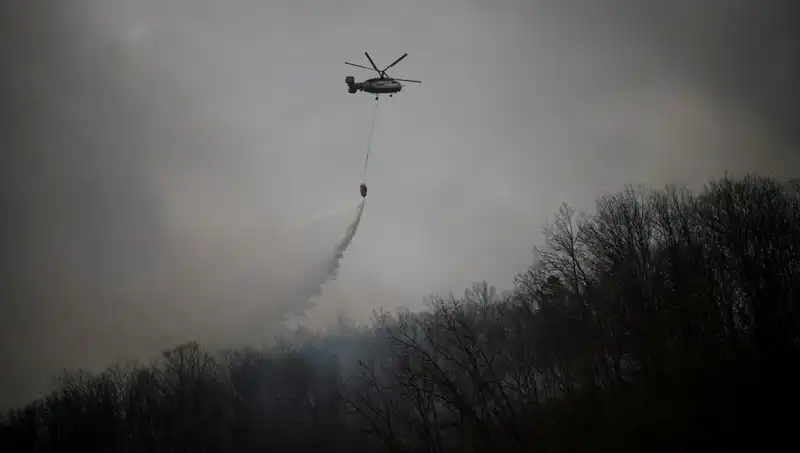Güney Kore'de Yangın Söndürme Helikopteri Düştü: Korkunç Kaza!