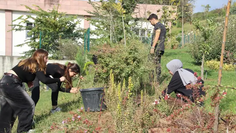 Düzce'nin Zengin Kültürü: Hayali Gerçekleştiren Yenilikçi Projeler