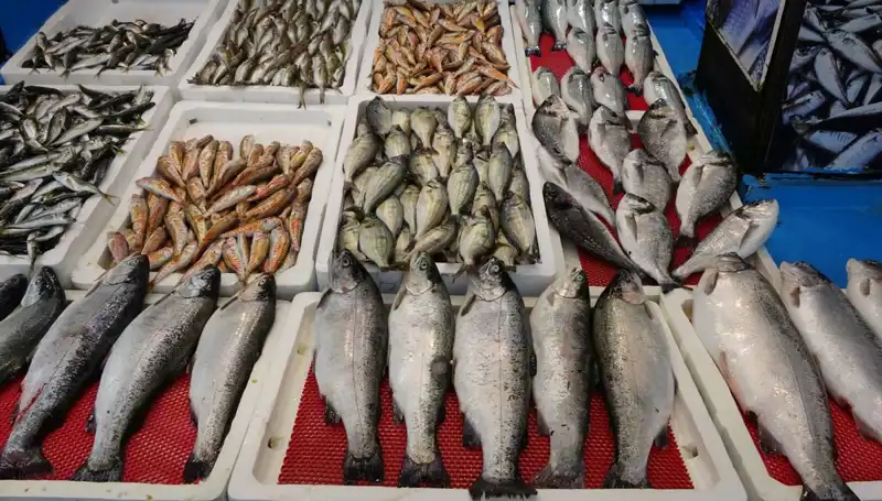 Tezgahlardaki Değişim: Yasaklar Esnafı Nasıl Etkiliyor?