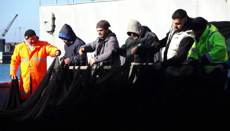 Denizlerde Hamsi Stoku Tükendi: Balıkçılar Erken Sezona Veda Etti