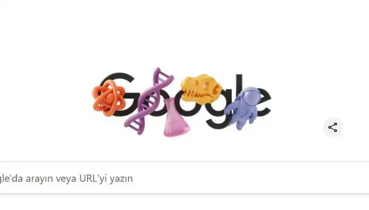 STEM Alanındaki Kadınları Kutlayan Google Doodle: Kadınların Rolü ve Önemi