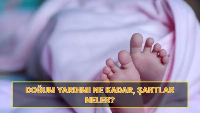 2025 Doğum Yardımı Başvuruları Başladı: Çocuk Parası ve Şartları