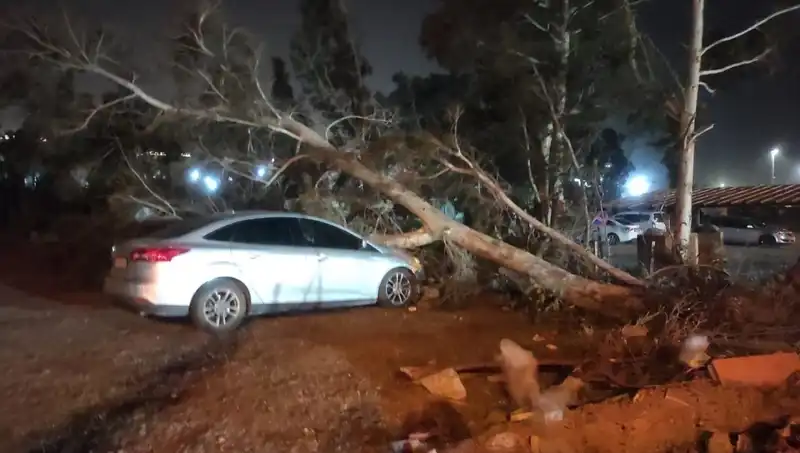 Hatay'da Fırtına Alarmı: Tekneler Alabora Olup Ağaçlar Devrildi!