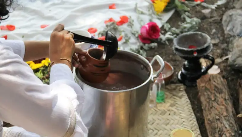 Ayahuasca: Gizemli Şifa İksiri ve Yasal Durumu Nedir?
