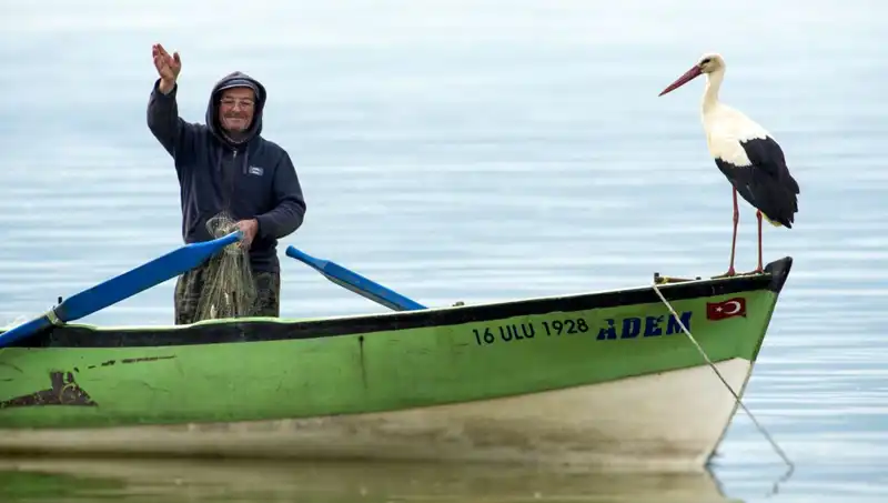 Yaren Leylek Geldi Mi? Yuva Yapma Zamanı Geldi!