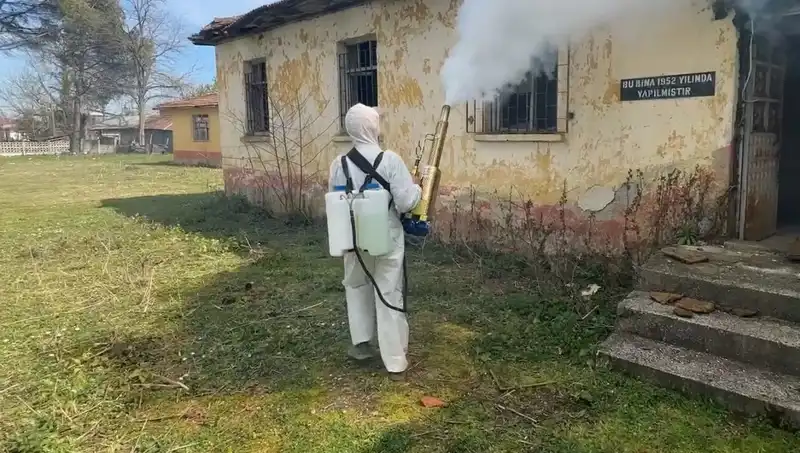 Çiftçiler Kahverengi Kokarca İle Savaş Açtı: Riskler ve Çözümler