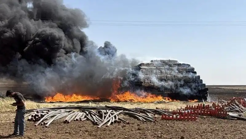 Mardin'de Anız Yangını: Doğaya Verdiği Hasar ve Önlemler