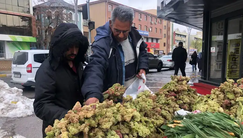 Kendiliğinden Yetişen Bu Bitki Kanser Tedavisinde Devrim Yaratıyor!