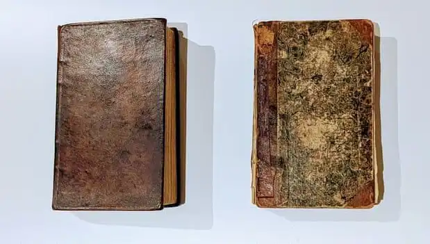 200 Yıl Önceki Cinayetin Perdeleri Aralandı: Kitap İçindeki Gizemli Deri