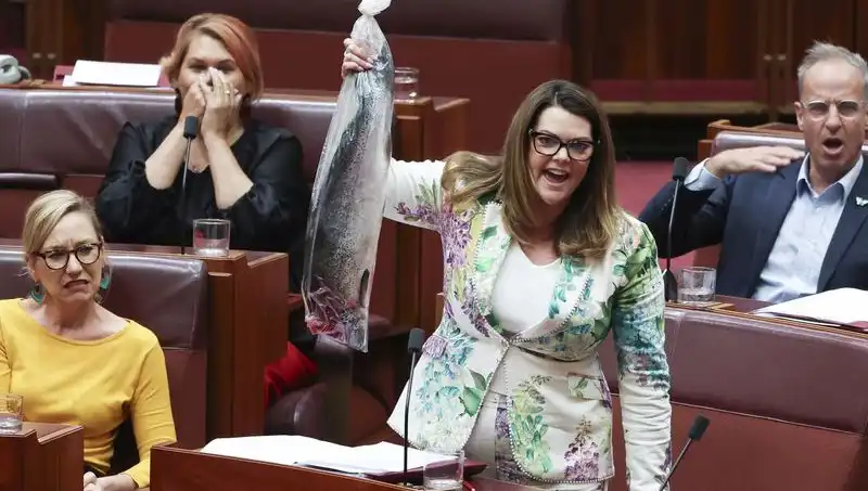 Parlamentoda Çürük Balık Protestosu: Senatörler Fena Sarsıldı!